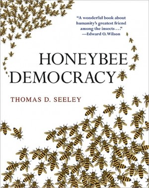 Honeybee Democracy design