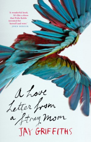 A Love Letter from a Stray Moon cover design